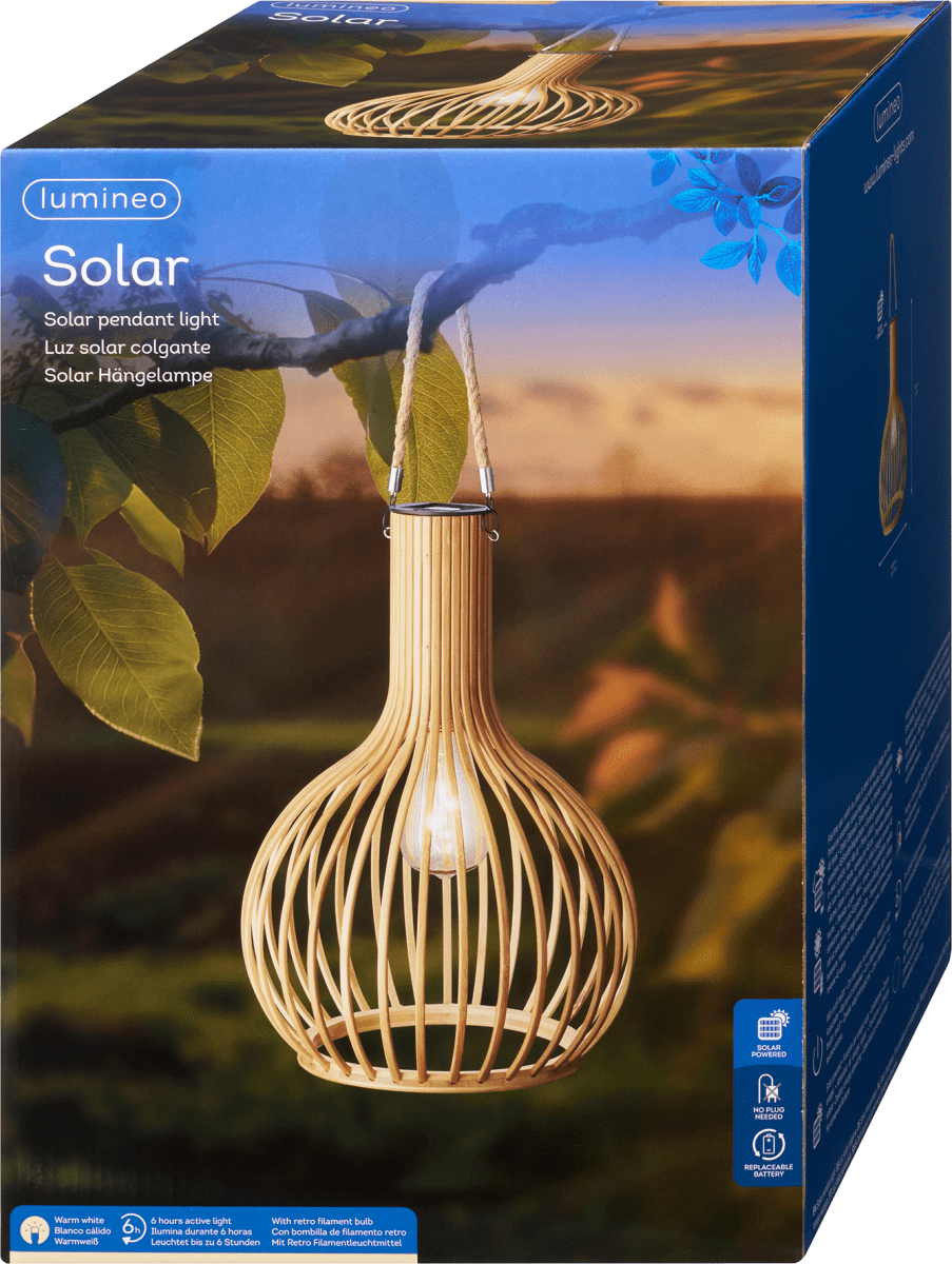 Solar-Outdoorleuchte zum Hängen, (40 cm), 1 St