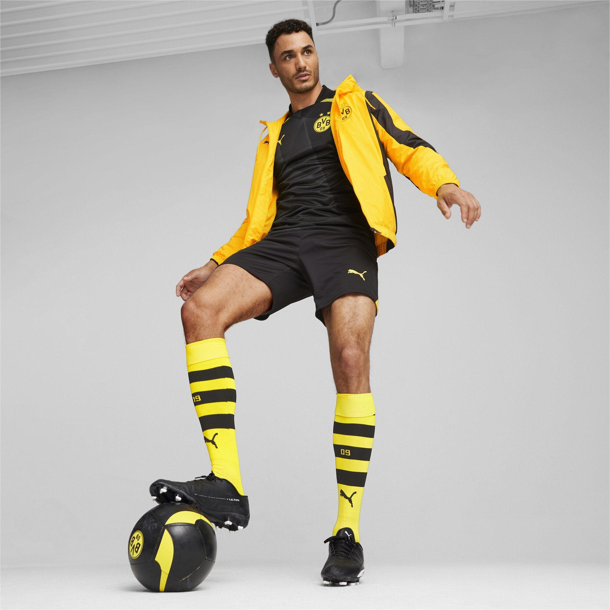 PUMA Trainingsjacke Borussia Dortmund Prematch Fußballjacke Herren