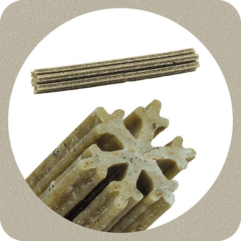 Ferplast Snowflake Ascophillum