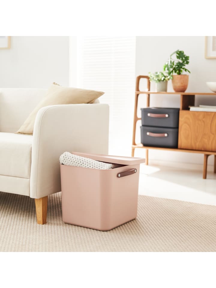 Rotho Aufbewahrungsbox mit Deckel 40 l MALOJA in Meadow rose günstig kaufen onesize