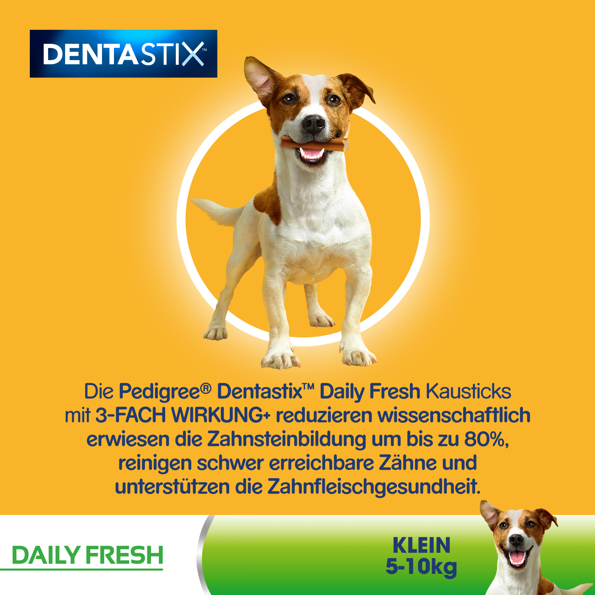 Pedigree Snacks Pedigree Zahnpflege Dentastix Daily Fresh Multipack Mini, 5-10kg, 35x
