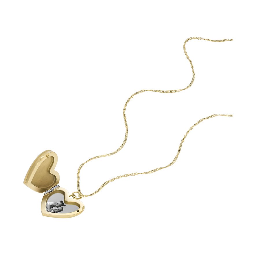Fossil Kette