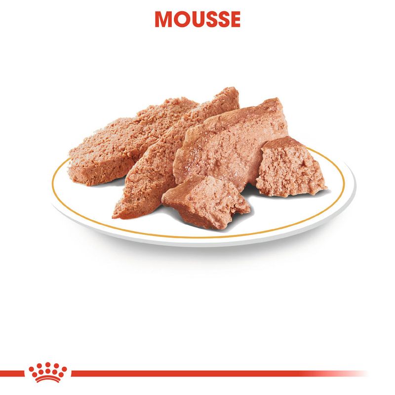 Royal Canin Dachshund Mousse