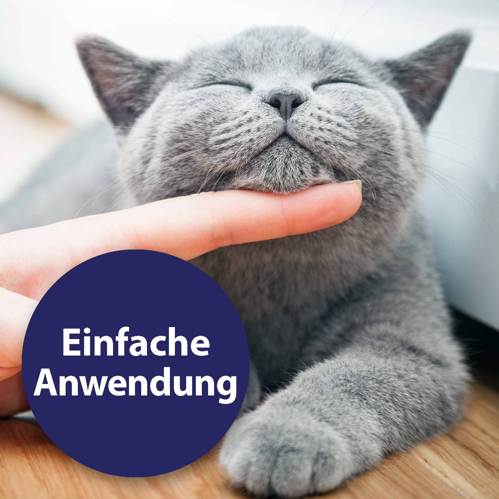 Canosept Zahnpflege Canosept Zahnpflege Finger-Pads für Hunde 50 Stück