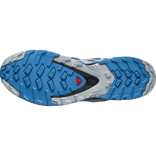 HERREN TRAILRUNNINGSCHUHE SHOES XA PRO 3D V8 GTX LEGION/BLITHE/PEA