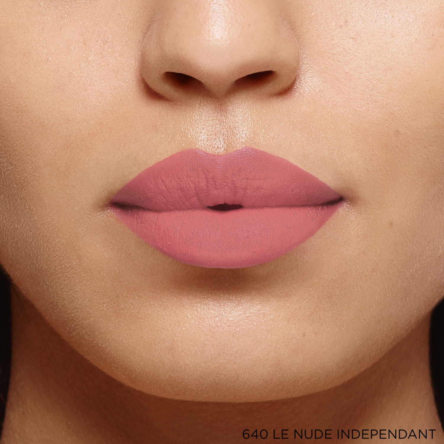 L'Oréal Paris Color Riche Rouge à Lèvres Matte