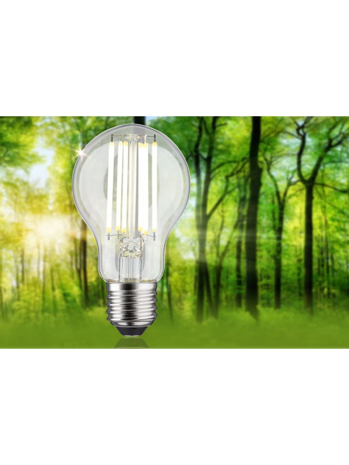 paulmann Eco-Line Filament 230V LED Birne 1er-Set A günstig kaufen onesize