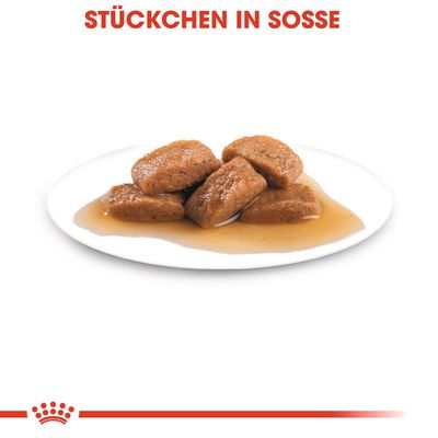 Royal Canin Maxi Adult in Soße
