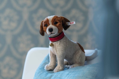 Matty Jack Russell Terrier, 25 cm, beige