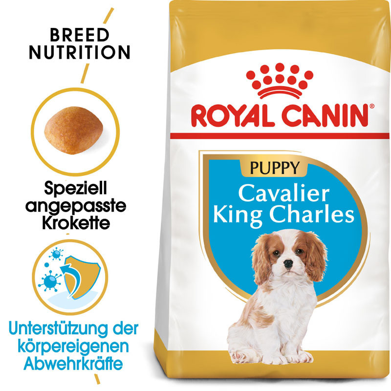 ROYAL CANIN Hundetrockenfutter ROYAL CANIN Cavalier King Charles Puppy 1,5kg