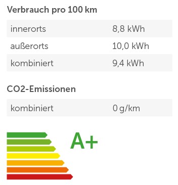 ARI Motors ARI 902 Pure Elektrofahrzeug E-Auto Leichtfahrzeug rot inkl. Speditionskosten & vor Ort Einweisung
