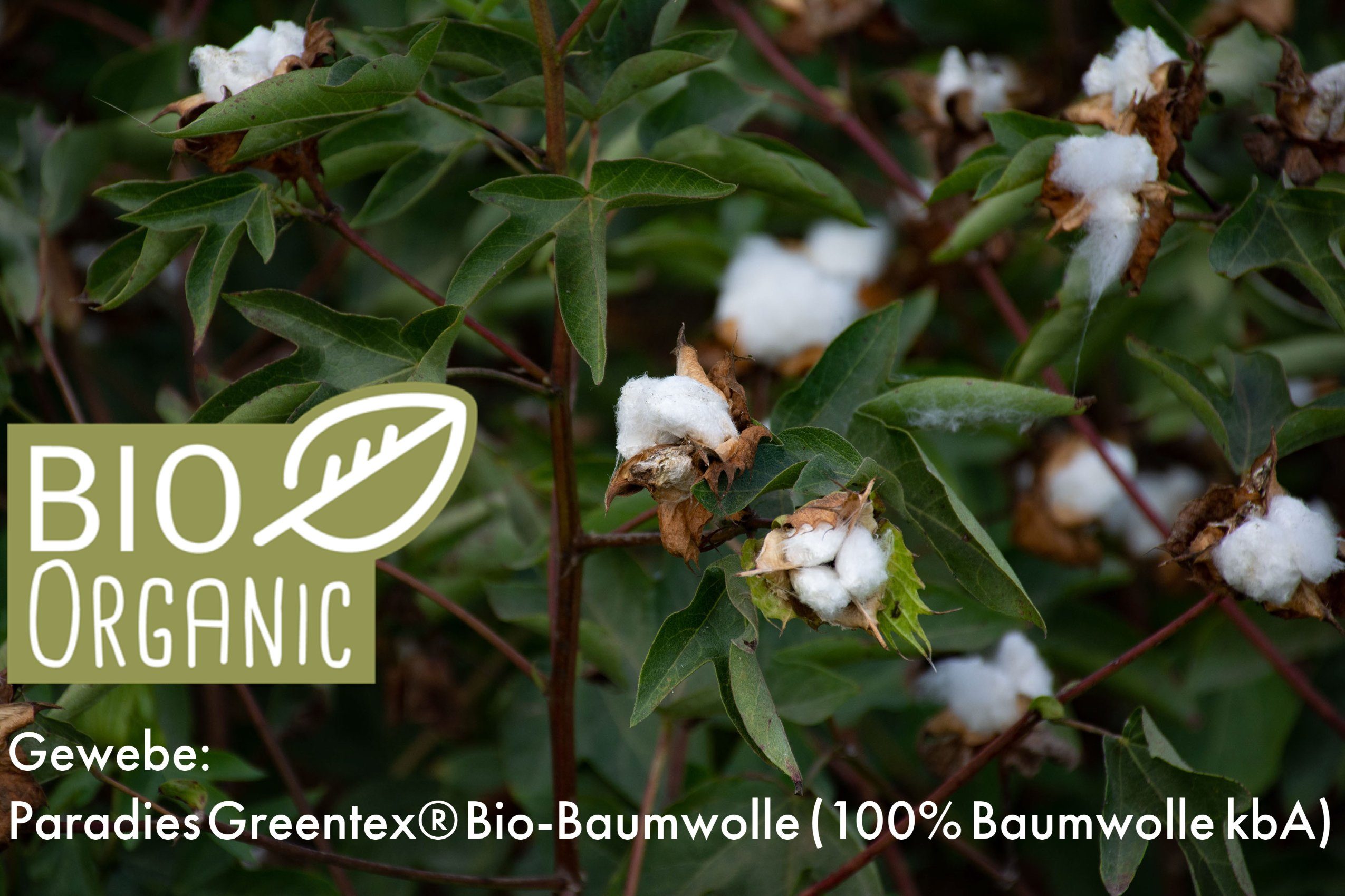 Kinderbettdecke + Kopfkissen, Anela Bio, Paradies, Füllung: 100% Polyester, Bezug: 100% Bio-Baumwolle (kbA), hohes Volumen und besonders kuschelig