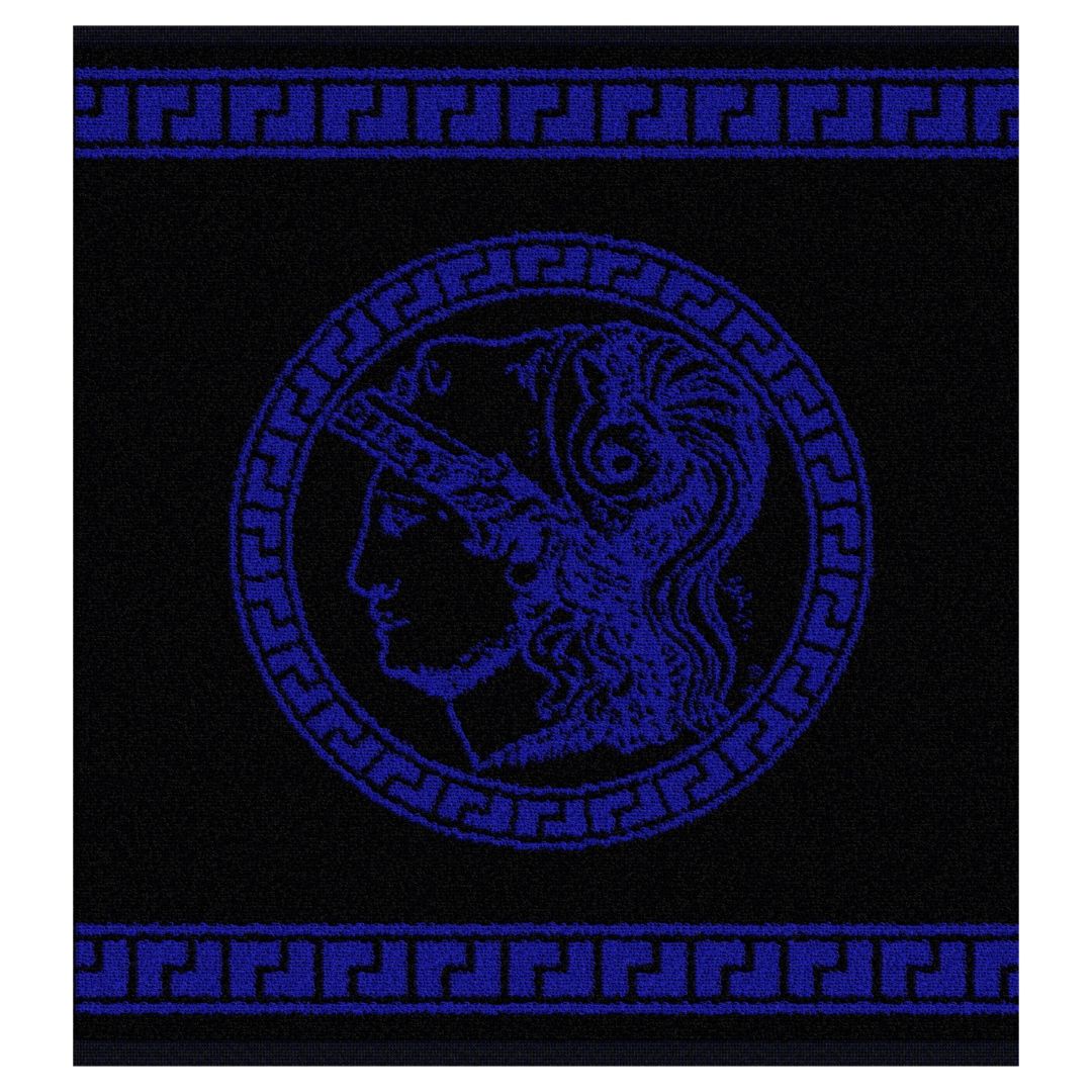 DDDDD Minerva 50 x 55 cm 6er-Set Küchenhandtücher