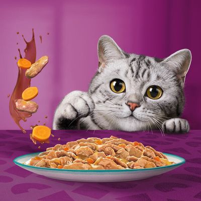 Multipack Whiskas Tasty Mix Portionsbeutel 48 x 85 g