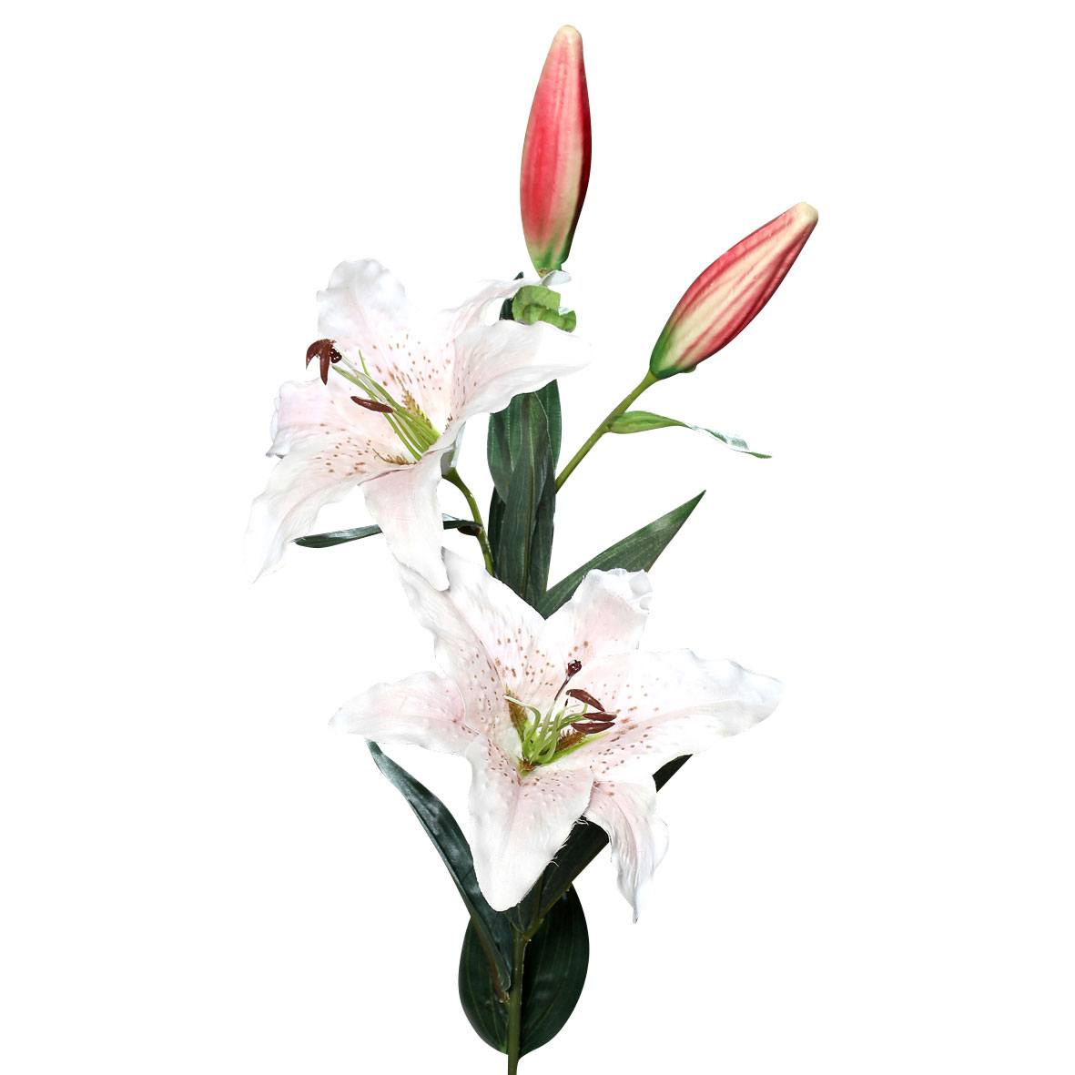DPIPromotion-Lilie 84cm