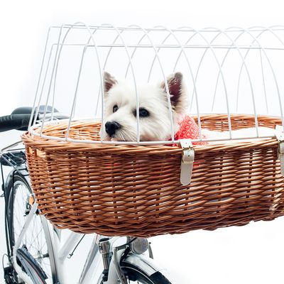 Aumüller Hunde-Fahrradkorb mit Schutzgitter