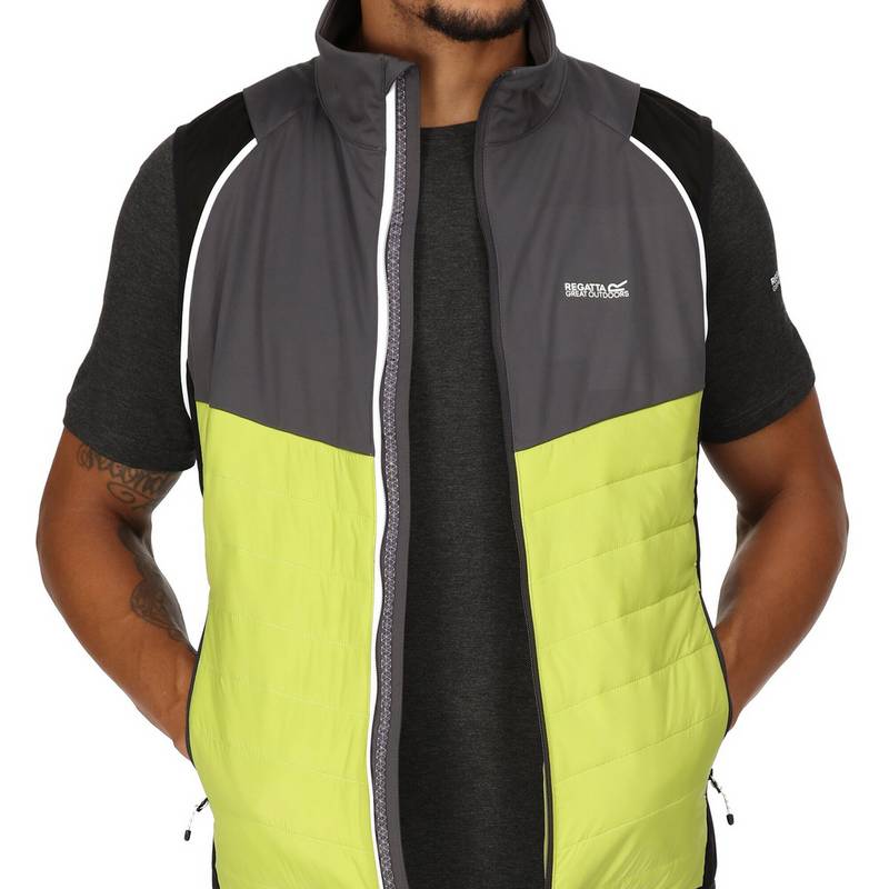 Regatta Steren Funktionsjacke Herren