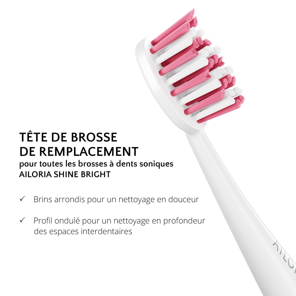 ailoria personal care SHINE BRIGHT Têtes de brosse - lot de 6