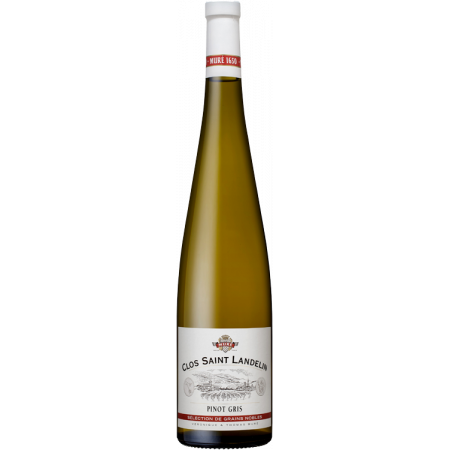 0.50L - PINOT GRIS SÉLECTION DE GRAINS NOBLES 2016 - CLOS SAINT LANDELIN - VERONIQUE ET THOMAS MURE
