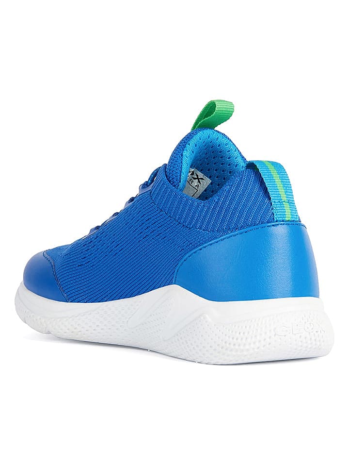 Geox Sneakers 
