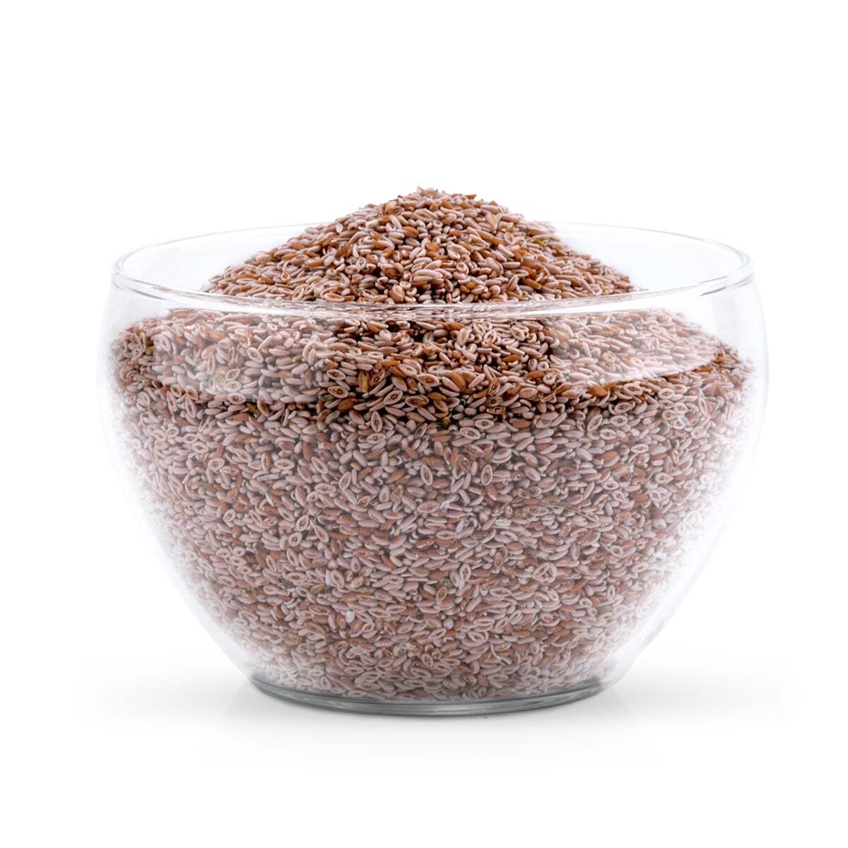 Aniforte Ergänzungsfutter & Aufzucht Aniforte Indische Flohsamen 1kg