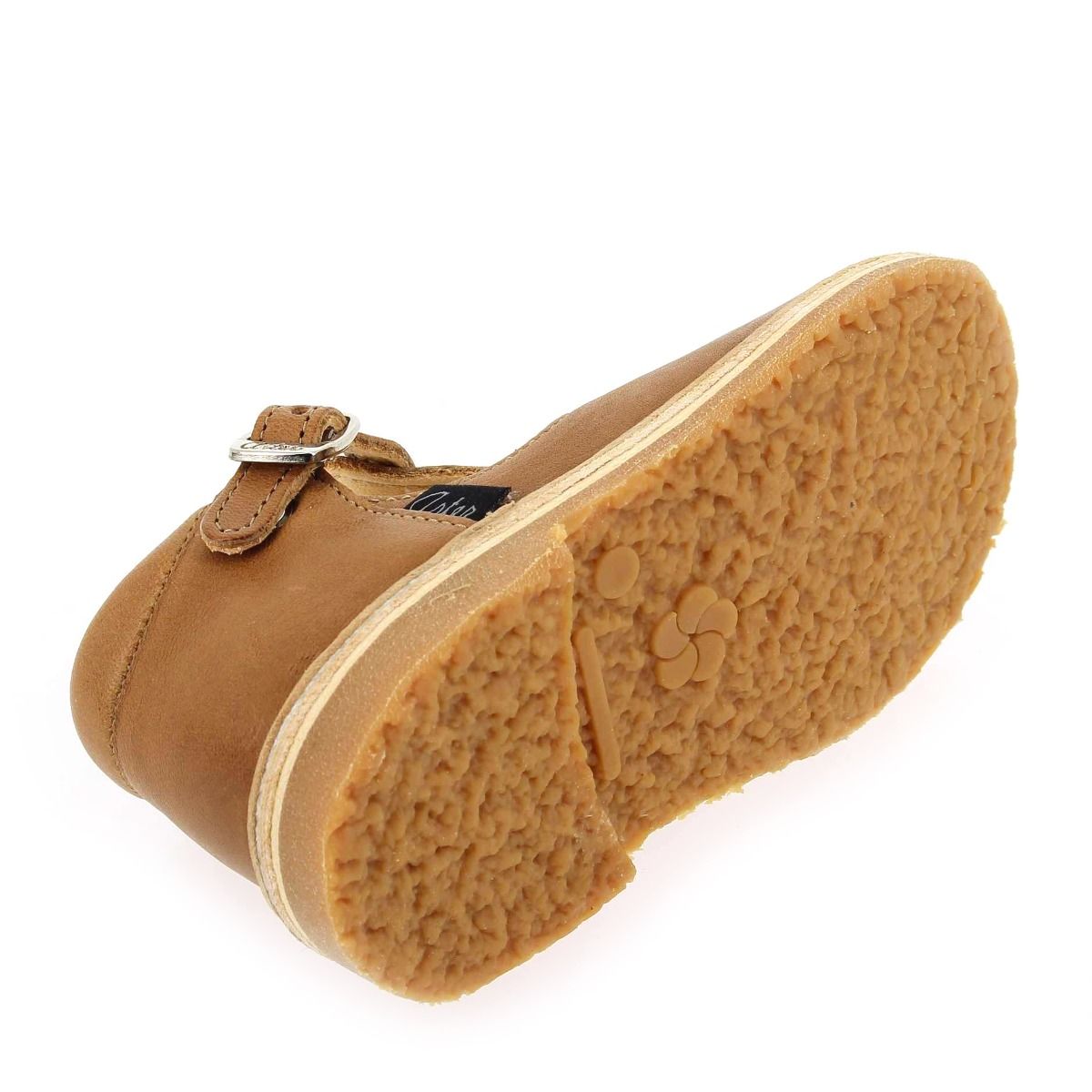 Aster  BIMBO 2 - Camel