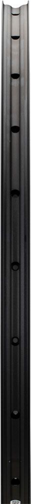 Newmen Evolution SL X.R.25 29