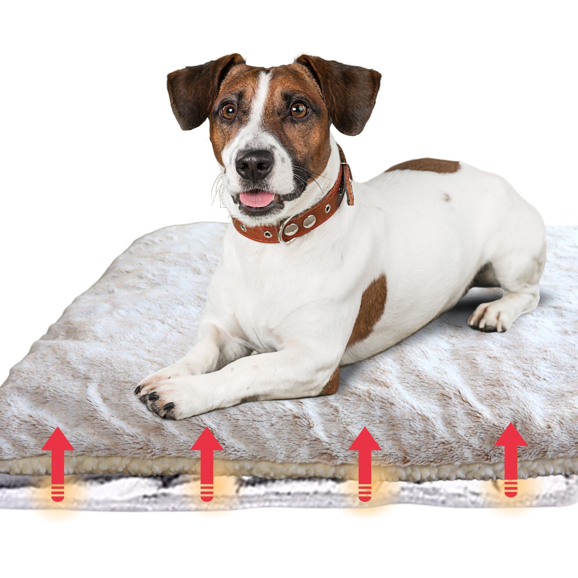 Angel's Pride Tierdecke Wärmedecke Superior für Katzen und Hunde, 5-lagig, kuschelig & warm, Plüsch+Wollvlies, extra dick mit 3 Layern, Thermo- sowie Füllvlies + Thermomatte