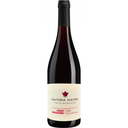 COTEAUX BOURGUIGNONS 2022 - SANS SOUFRE AJOUTE - NATURA MATER - COLLIN BOURISSET