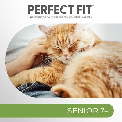 Sparpaket Perfect Fit 96 x 85 g