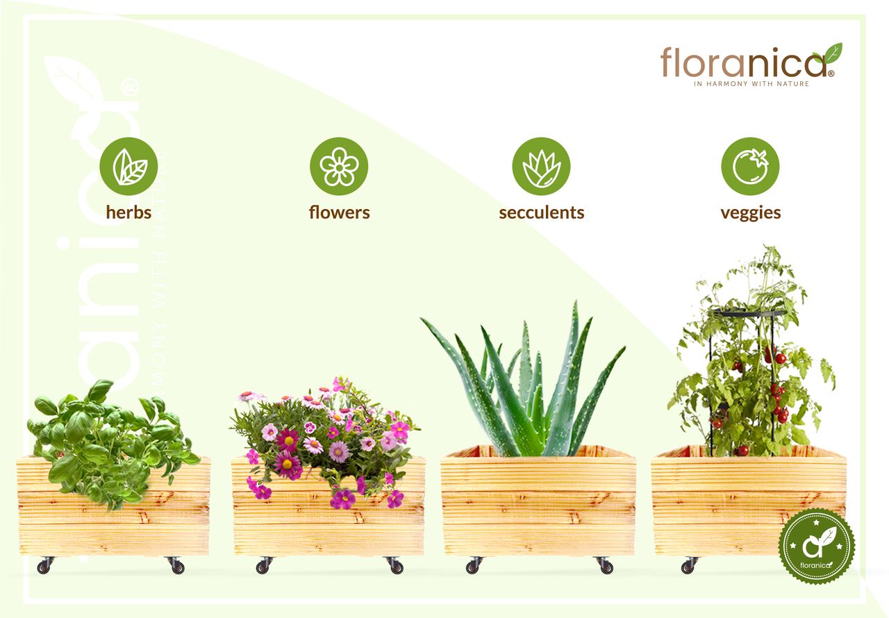 Pemicont Floranica Blumentopf aus Holz Kasten 4 Rollen 50cm x 535cm x 285cm Nicht imprägniertes Lärchenholz Schutzhülle für Kräuter Blumen Haus- und Gartendekoration Innen- und Außenbereich