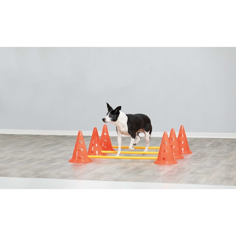Trixie Agility & Training Trixie Dog Activity Hindernisse Ø23x30cm