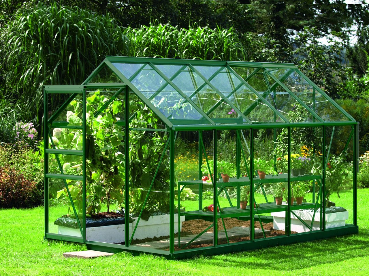 Vitavia Venus 6200 ESG 3mm, grün