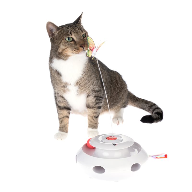 TIAKI 3-in-1 Katzenspielzeug Mariposa zu TOP-Preisen | bitiba %