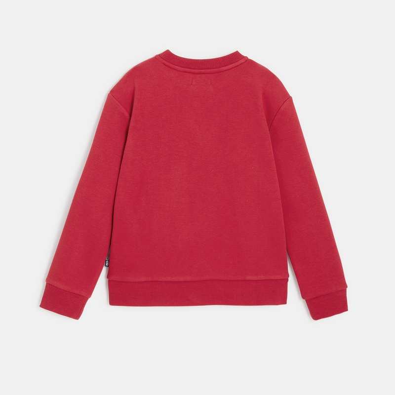 Sweat-shirt Mountain Expedition rouge garçon