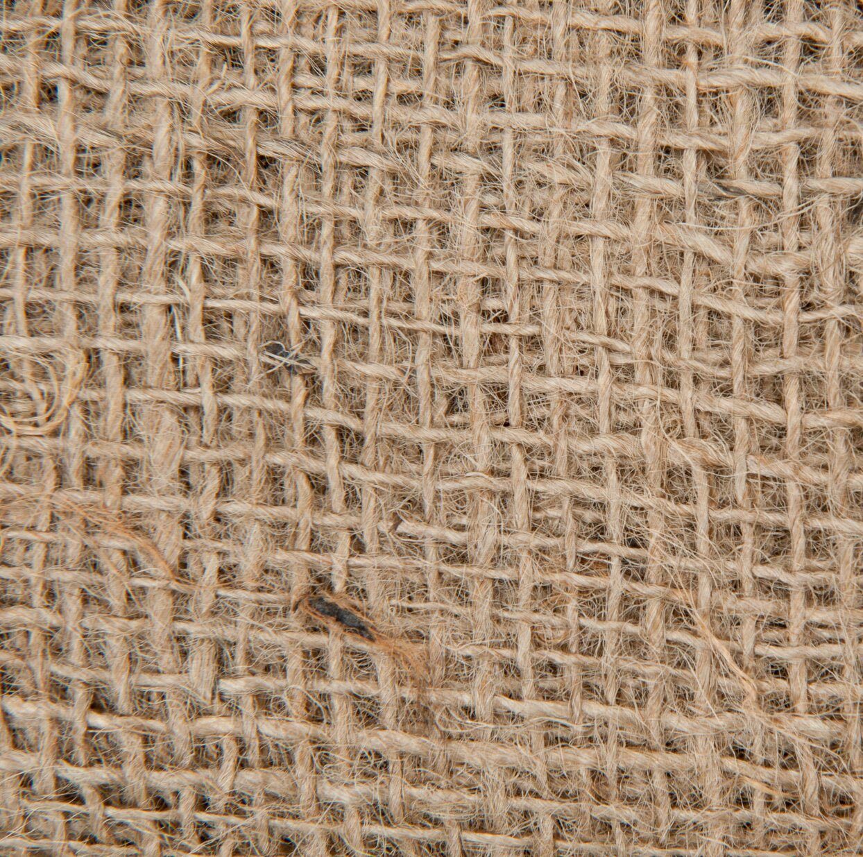 Windhager Winterschutzvlies, aus Jutegewebe, BxL: 100x500 cm