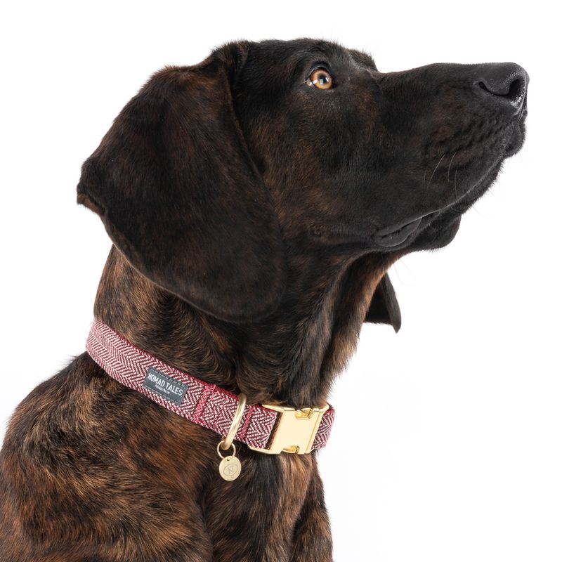 Nomad Tales Calma Halsband, burgundy zu TOP-Preisen