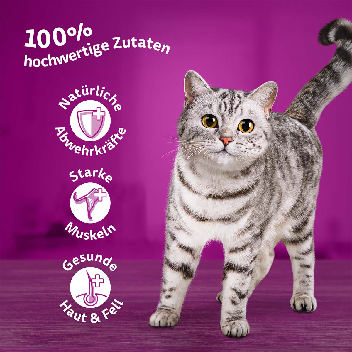 Whiskas Multipack 1+ Klassische Auswahl in Sauce 40x85g