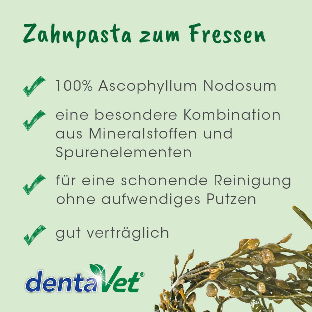 dentaVet Zahnpflege dentaVet Anti-Plaque