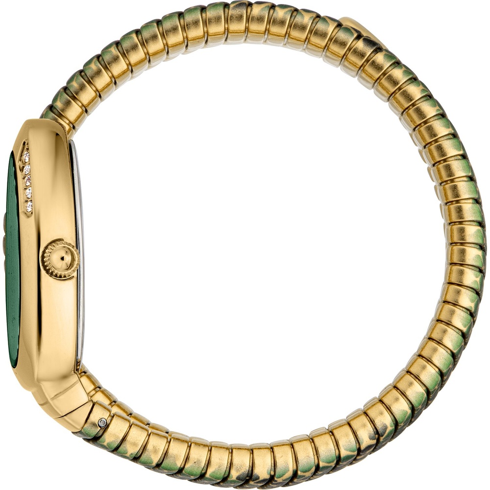 Just Cavalli Montre pour femme Acier inoxydable Montre
