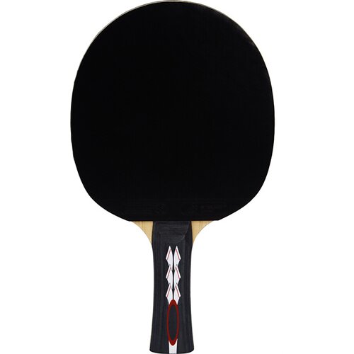 TISCHTENNIS-SCHLÄGER PRO 5000 PLUS