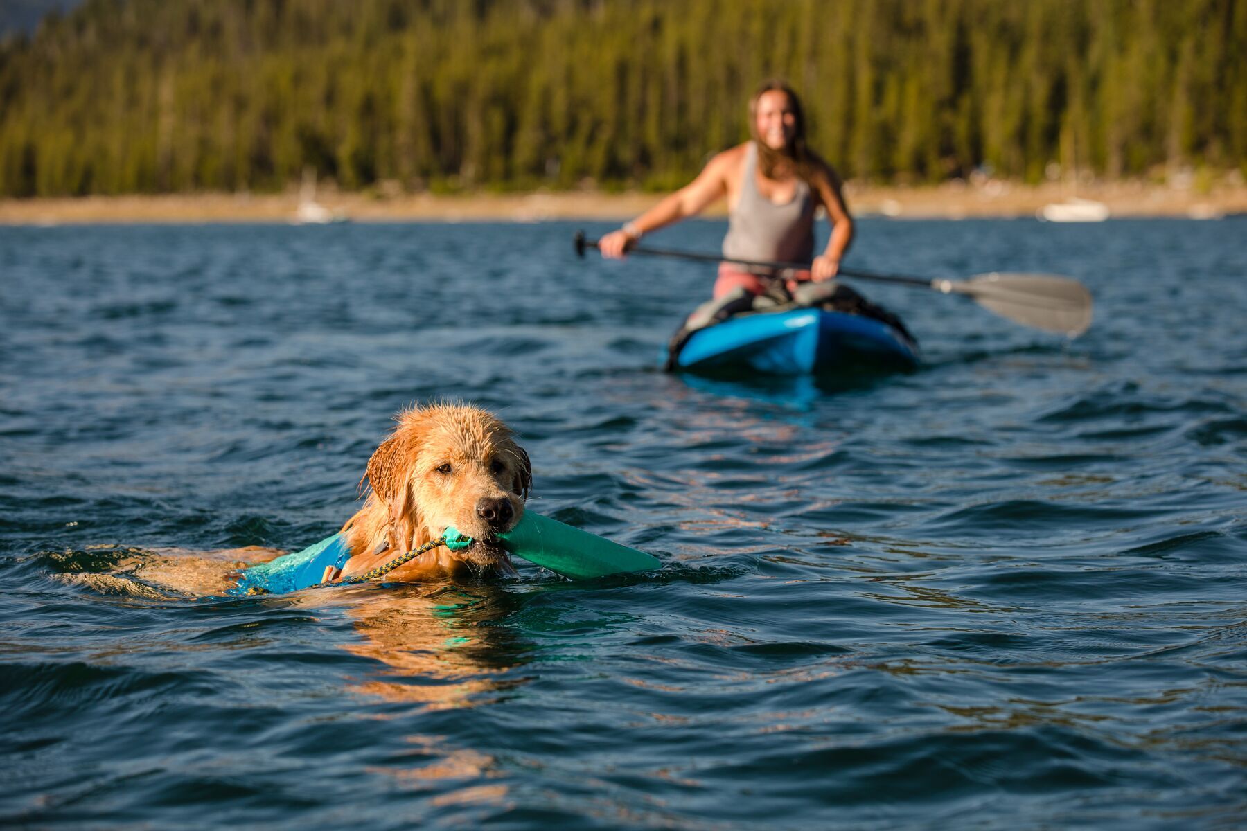 Ruffwear Wasserspielzeug Ruffwear Lunker™ Spielzeug blau/ türkis