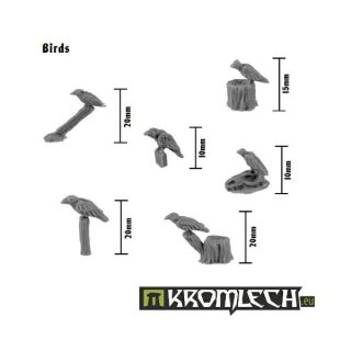 Birds (6)
