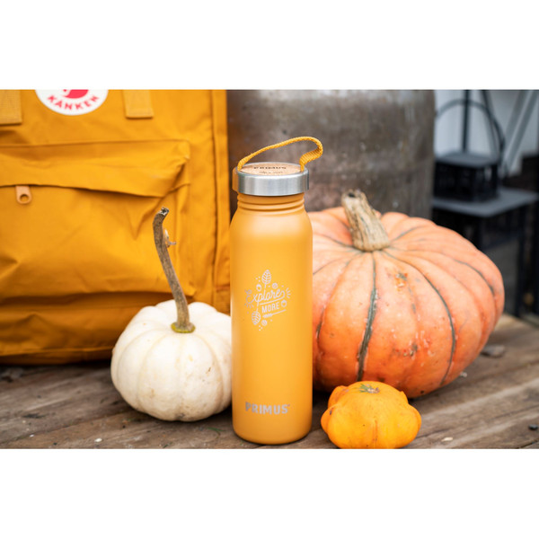 KLUNKEN BOTTLE 0.7 L FALL ACORN - Trinkflasche