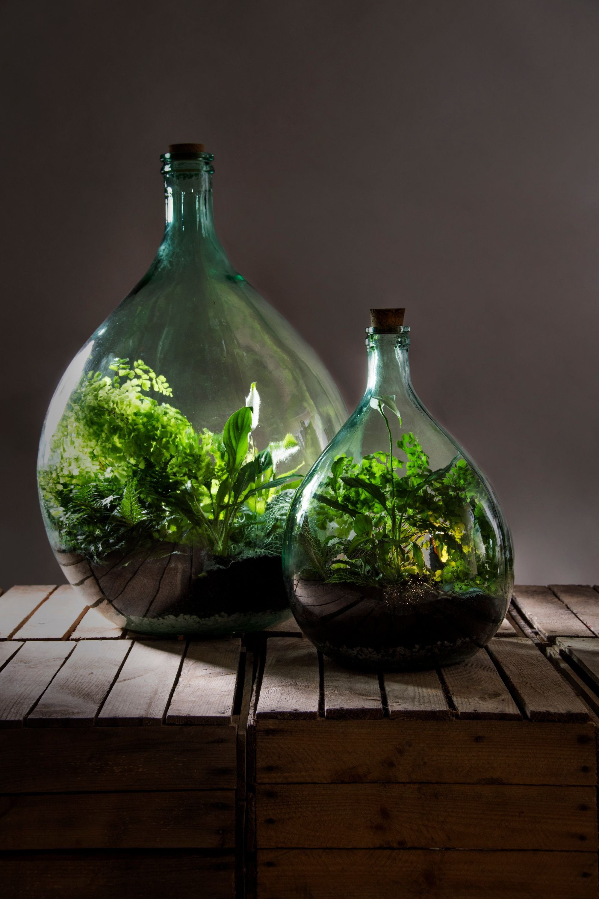 esschert design Übertopf Esschert Design Blumenerde 2 kg 5 Liter Terrarium Gewächshaus Erde Substrat
