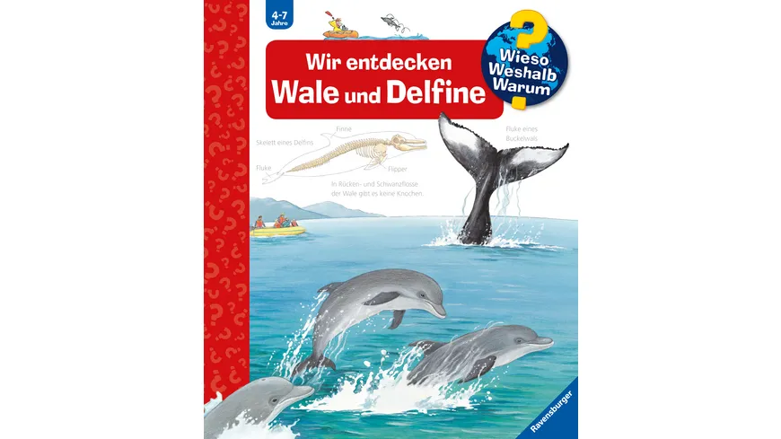 Wieso? Weshalb? Warum? (41) Wir entdecken Wale und Delfine