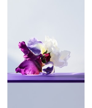 BVLGARI Omnia Amethyste Eau de Toilette 100 ml