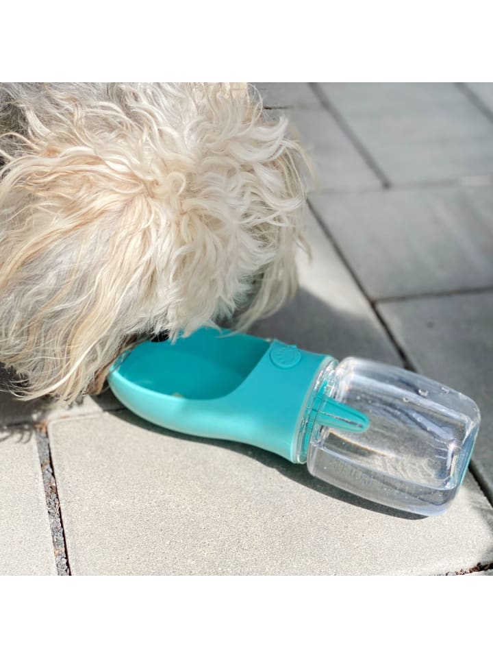 Intirilife Hunde Trinkflasche in Blau günstig kaufen onesize