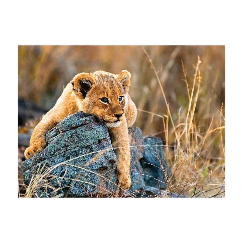 Puzzle Le petit lionceau 200 pièces XXL