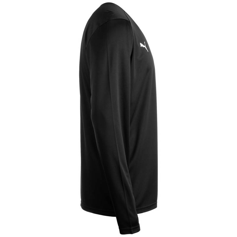 PUMA Hoops Team Langarmshirt Herren